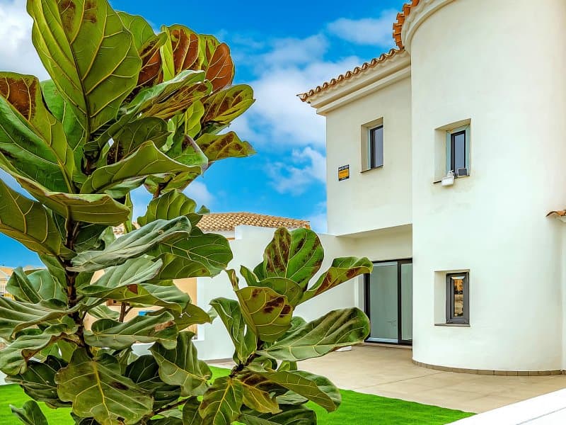 Ocean Boulevard - Thumbnail 5